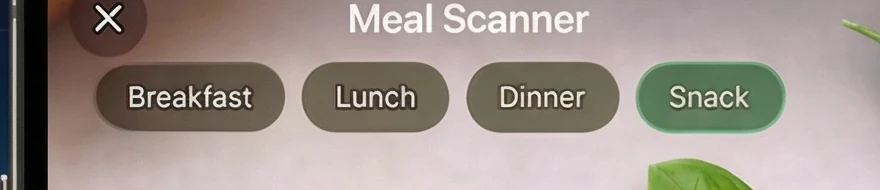 English source chip row: Breakfast, Lunch, Dinner, Snack